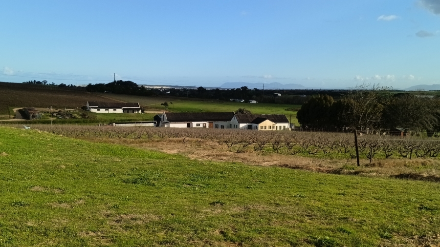5 Bedroom Property for Sale in Stellenbosch Farms Western Cape